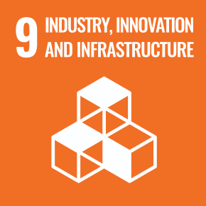 (9) Industrie, innovation et infrastructure.