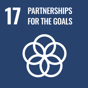 (17) Partnerships for the goals. 