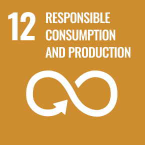(12) Responsible production and consumption.