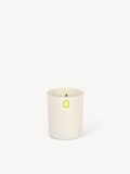 scented-candle-eucalyptus-peppermint-1